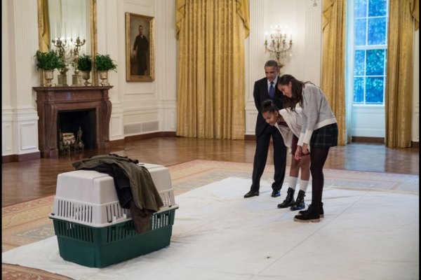 President Barack Obama and daughters, Sasha and Malia Obama, checked out the turkeys in 2014. Image: White House.gov.