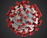 This illustration by the CDC depicts the coronavirus.