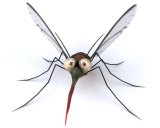 Which is worse: mosquitoes or DEET?