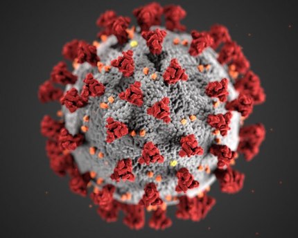 Resources: Why is it called coronavirus? This illustration by the CDC depicts the coronavirus.